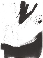 cortesia de nel amaro para klaussvandamme official website reservados todos los derechos all rights reserved vegap